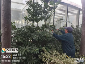 冬季修剪正當時467.png