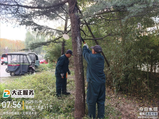 冬季修剪正當時469.png