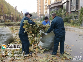 冬季修剪正當時598.png